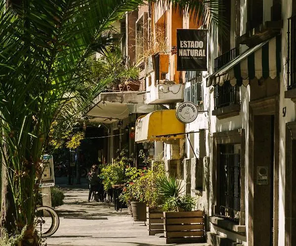 Sonder Cóporo *